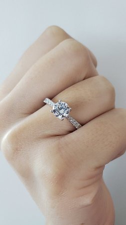 Dalia Claw Set