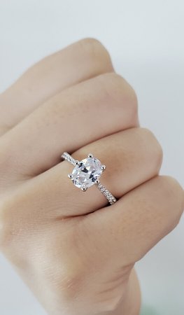 Dalia Claw Set