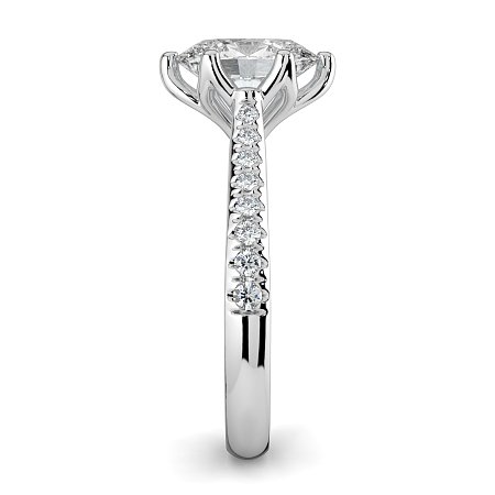 Tulip Claw Set