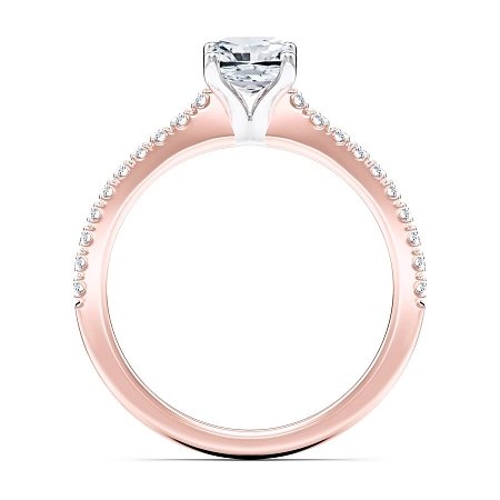 Cara Fine Claw set