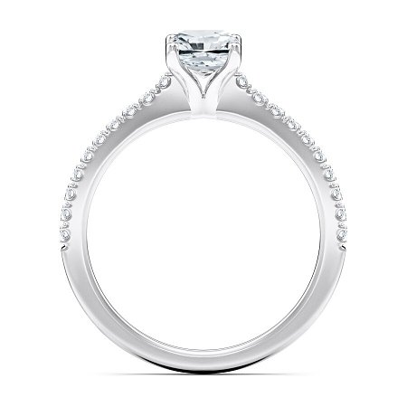 Cara Fine Claw set