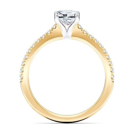 Cara Fine Claw set