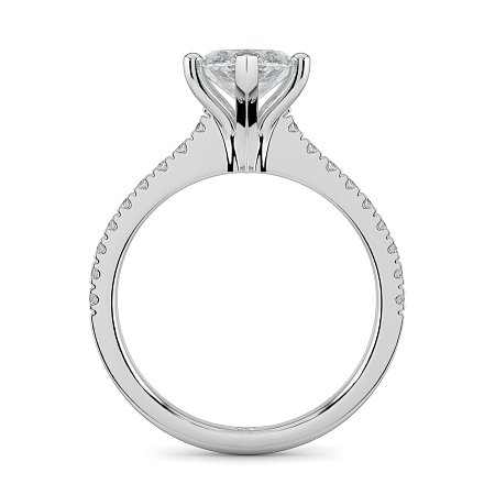 Cara Fine Claw set