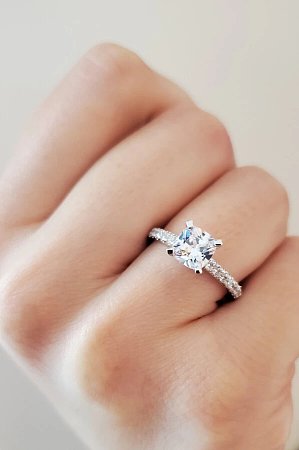 Tribute Claw Set