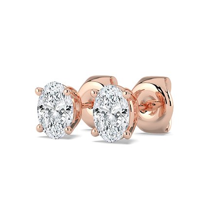 Claw Set Earrings