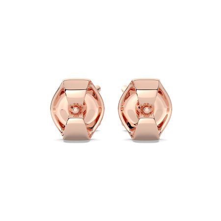 Claw Set Earrings