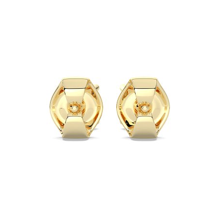 Claw Set Earrings