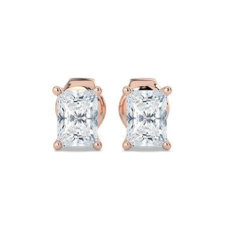 Claw Set Earrings