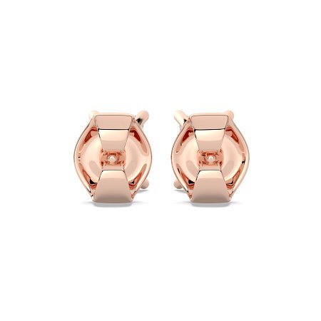 Claw Set Earrings