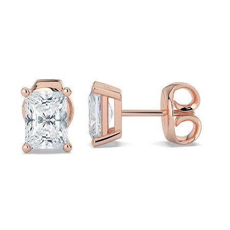 Claw Set Earrings
