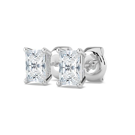 Claw Set Earrings