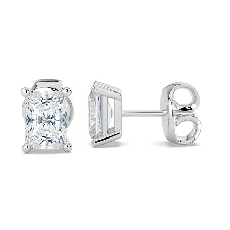 Claw Set Earrings