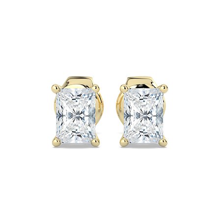 Claw Set Earrings