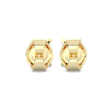 Claw Set Earrings
