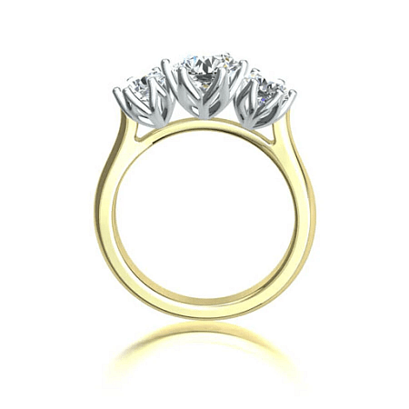 Tulip 3 Stone
