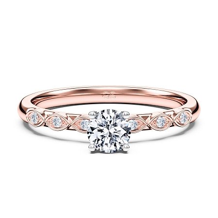 Petite Marquise
