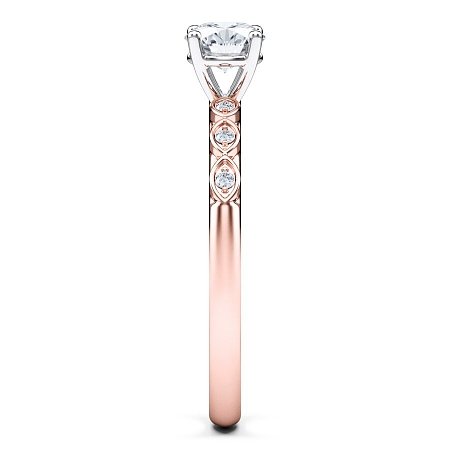 Petite Marquise