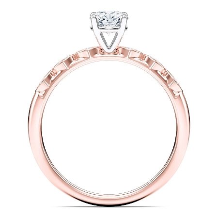 Petite Marquise