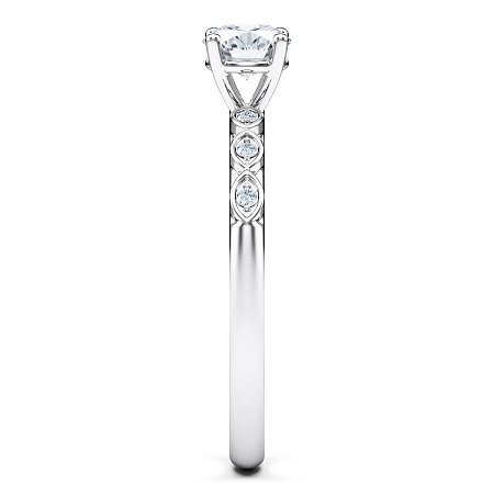 Petite Marquise