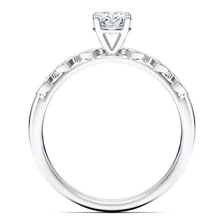 Petite Marquise
