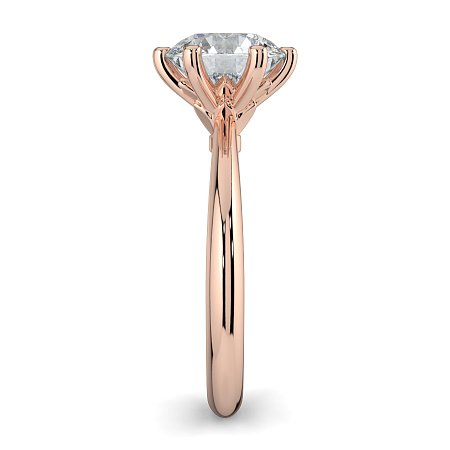 Tulip Petal