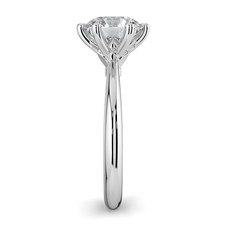 Tulip Petal