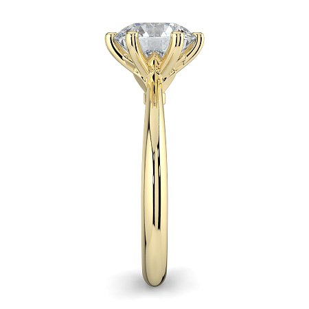 Tulip Petal