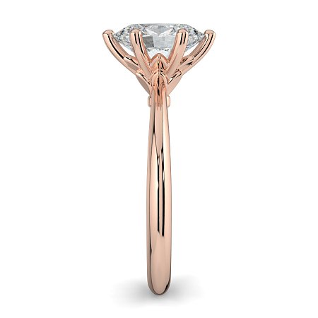 Tulip Petal