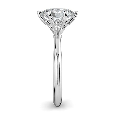 Tulip Petal