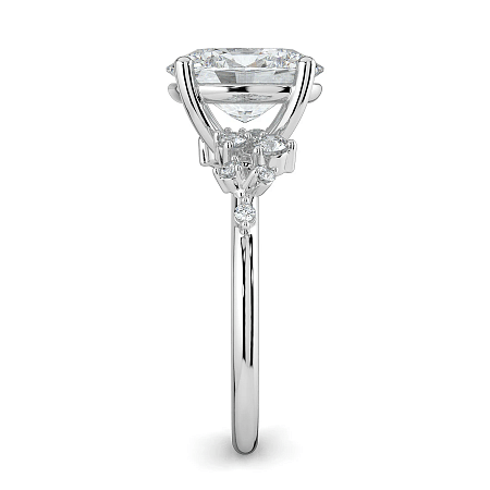Cluster Ring