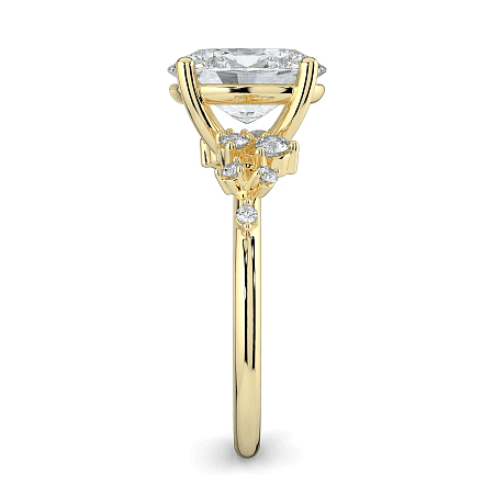Cluster Ring