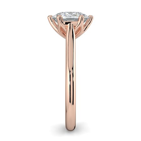 Tulip 6 Claws with Diamond Bridge