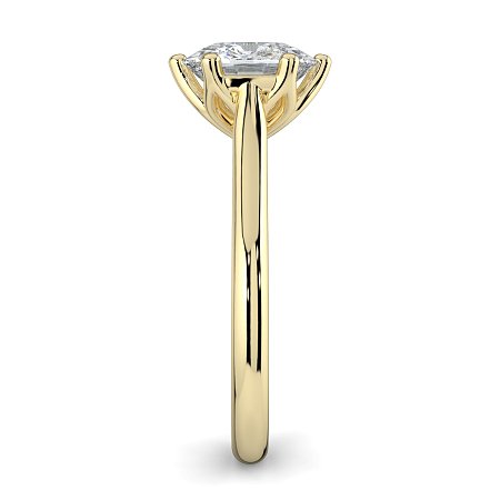 Tulip 6 Claws with Diamond Bridge