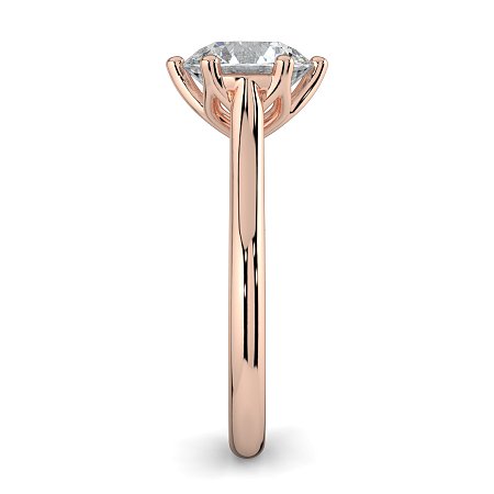 Tulip 6 Claws with Diamond Bridge