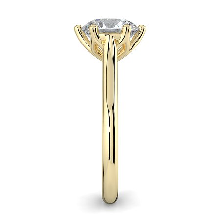 Tulip 6 Claws with Diamond Bridge