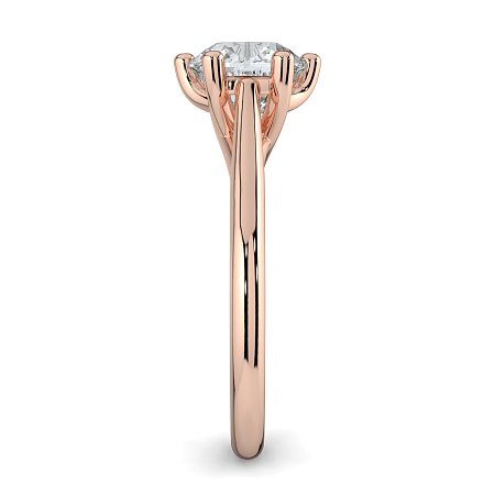 Dalia 6 Shared Claws