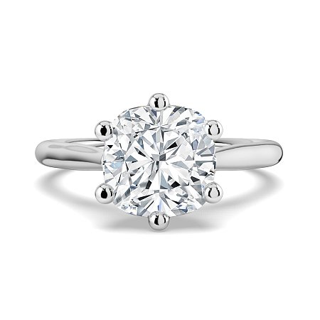Dalia 6 Shared Claws