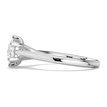 Dalia 6 Shared Claws