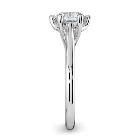 Dalia 6 Shared Claws