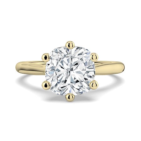 Dalia 6 Shared Claws