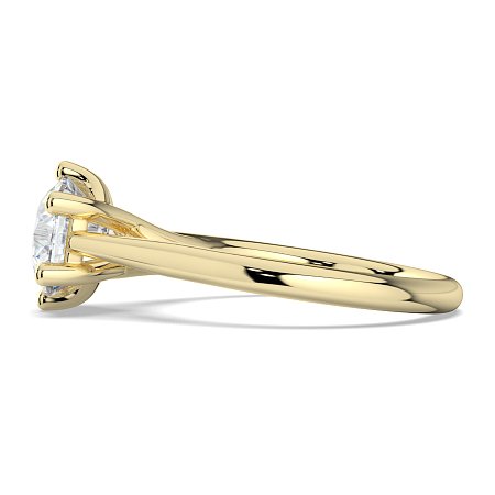 Dalia 6 Shared Claws