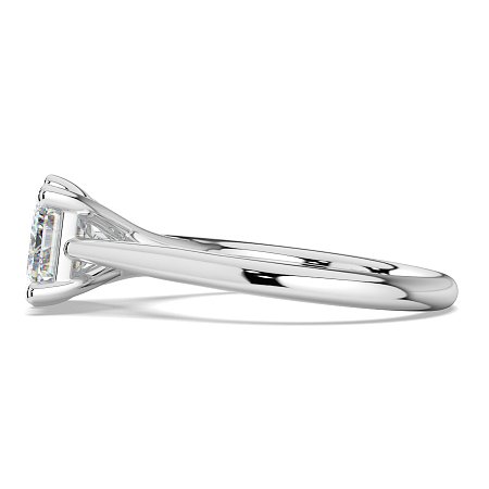 Dalia 6 Shared Claws