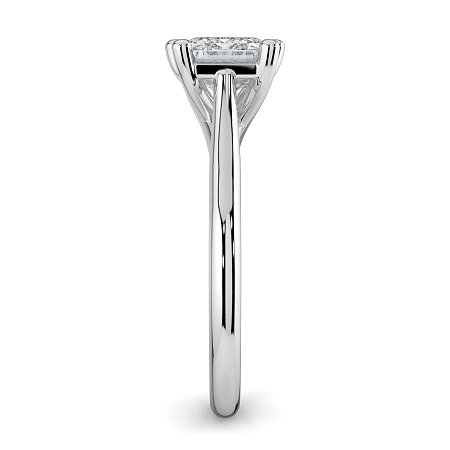 Dalia 6 Shared Claws