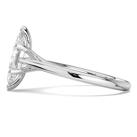 Dalia 6 Shared Claws