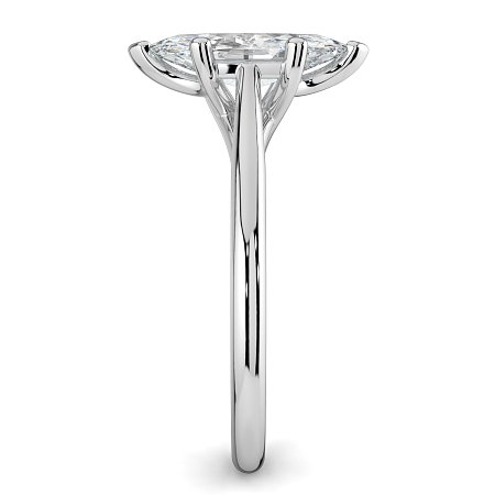 Dalia 6 Shared Claws