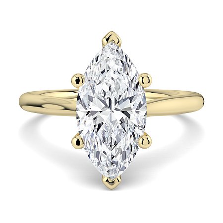 Dalia 6 Shared Claws