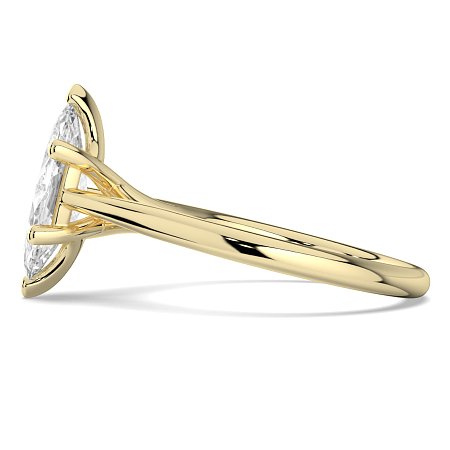 Dalia 6 Shared Claws