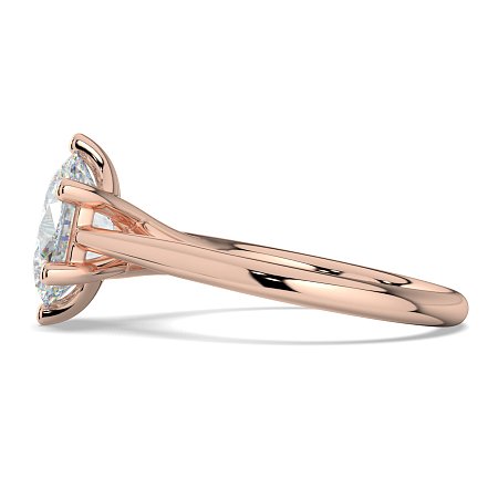 Dalia 6 Shared Claws