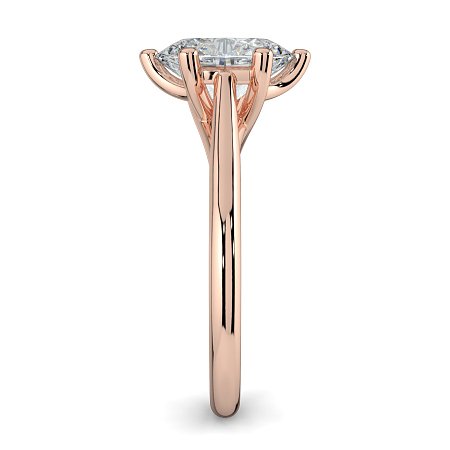 Dalia 6 Shared Claws