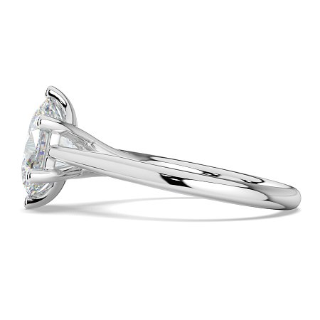 Dalia 6 Shared Claws
